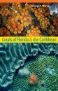 Corals of Florida & the Caribbean