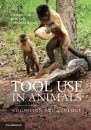 Tool Use in Animals