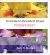 A Guide to Bearded Irises