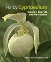 Hardy Cypripedium