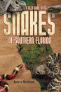 A Field Guide to the Snakes of Southern Florida