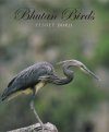 Bhutan Birds