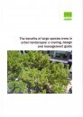 The Benefits of Large Species Trees in Urban Landscapes