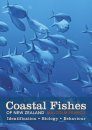 Coastal Fishes of New Zealand