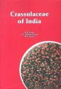 Crassulaceae of India
