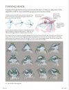 The Laws Guide to Drawing Birds