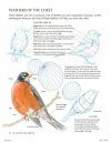 The Laws Guide to Drawing Birds