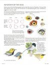 The Laws Guide to Drawing Birds