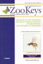 ZooKeys 232: Revision of the European species of Omphale Haliday (Hymenoptera, Chalcidoidea, Eulophidae)