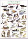 Birds (Waterproof Field Guide)