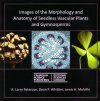 Images of the Morphology and Anatomy of Seedless Vascular Plants and Gymnosperms