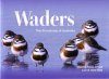 Waders: The Shorebirds of Australia