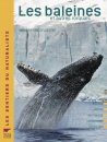 Les Baleines et Autres Rorquals [The Whales and Other Balaenoptera]