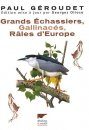 Grands Échassiers, Gallinacés, Râles d'Europe [Great Waders, Fowl, and Rails of Europe]