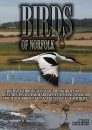 Birds of Norfolk (Region 2)