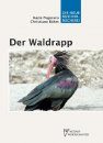 Der Waldrapp - Geronticus eremita [Northern Bald Ibis]