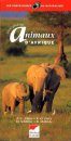 Photoguide des Animaux d'Afrique [Photographic Guide to the Animals of Africa]