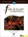 Les Fruits De La Mer et Plantes Marines des Pêches Françaises