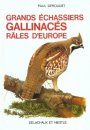 Grands Échassiers Gallinacés et Râles d'Europe