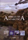 Shells of Antarctica