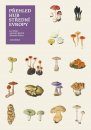 Přehled Hub Střední Evropy [Fungi of Central Europe]
