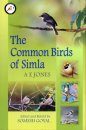 The Common Birds of Simla