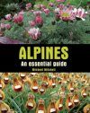 Alpines: An Essential Guide