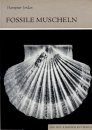Fossile Muscheln (Fossil Shells)