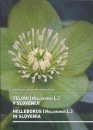 Helleborus (Helleborus L.) in Slovenia / Telohi (Helleborus L.) v Sloveniji