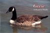 Geese: A Pictorial Study