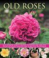 Old Roses: An Illustrated Guide to Varieties, Cultivation and Care