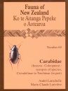 Fauna of New Zealand, No 69: Carabidae (Insecta: Coleoptera)