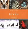 Birds: A Visual Guide
