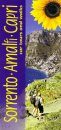 Sunflower Countryside Guides: Sorrento, Amalfi, Capri