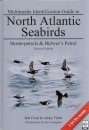 Multimedia Identification Guide to North Atlantic Seabirds: Storm-petrels & Bulwer's Petrel
