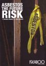Asbestos: The Future Risk
