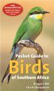 Pocket Guide to Birds of Southern Africa