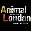 Animal London