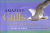 Amazing Gulls