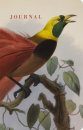 Natural Histories Journal: Bird