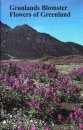 Flowers of Greenland / Grønlands Blomster
