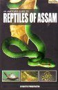 An Amateur's Guide to Reptiles of Assam