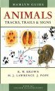 Animals Tracks, Trails and Signs