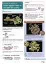 Guide to Using a Lichen Based Index to Nitrogen Air Quality