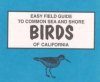 Easy Field Guide to California Sea & Shore Birds
