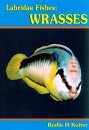 Labridae Fishes: Wrasses