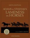 Adams & Stashak's Lameness in Horses