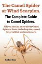 The Camel Spider or Wind Scorpion