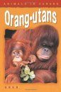 Animals in Danger: Orang-utans