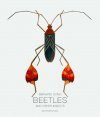 Bernard Durin: Beetles and Other Insects